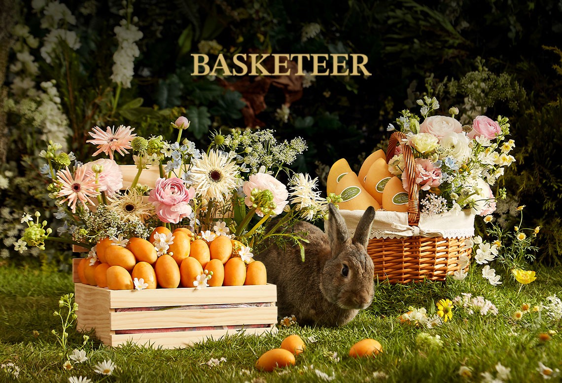 Basketeer